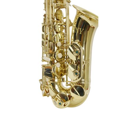 Saxofone Alto AS 200 Laqueado Dourado com Case New York