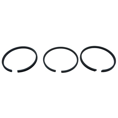 17311077169653