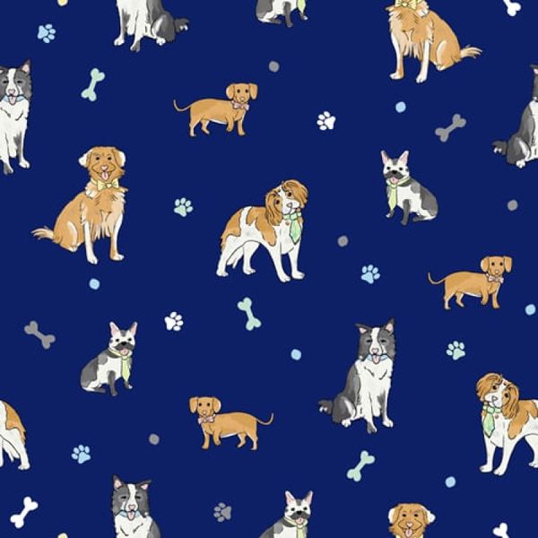 17319345436800 17319345436800