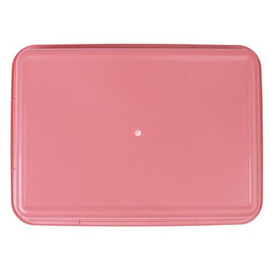 Bandeja Higiênica Rosa