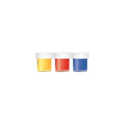 Raibow Pets Cachorrinho Pintura - Bombola