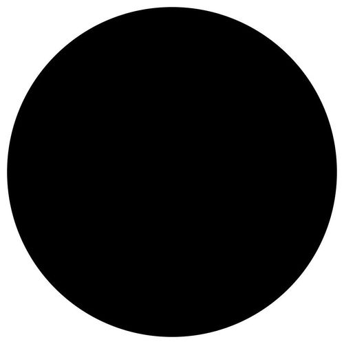 17333325981533