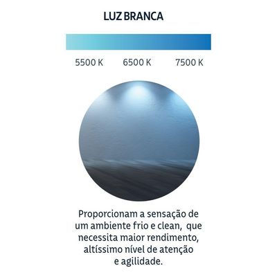 Refletor Led Tramontina 300 W 6500 K Luz Branca
