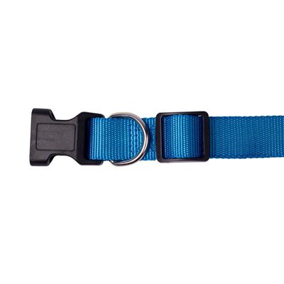 Coleira PP Azul