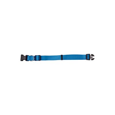Coleira PP Azul