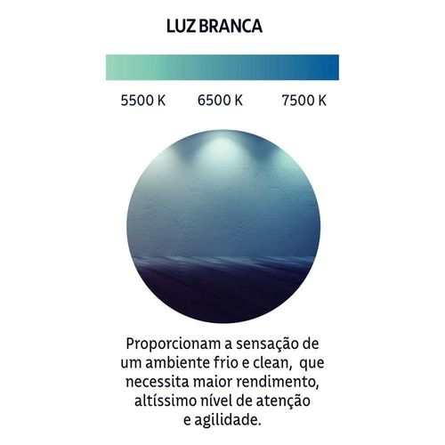 17338533987094
