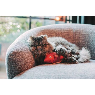 Pelúcia Peixe com Catnip Rosa