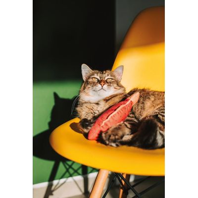 Pelúcia Peixe com Catnip Rosa