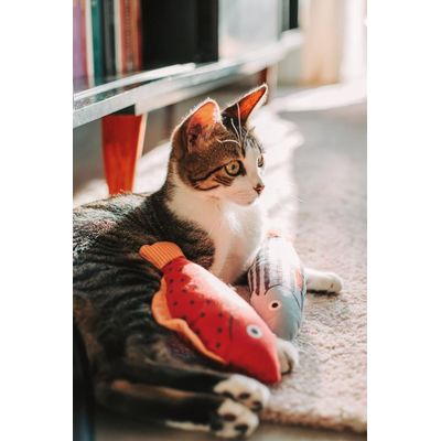Pelúcia Peixe com Catnip Rosa