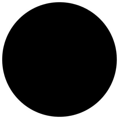 17333325651981