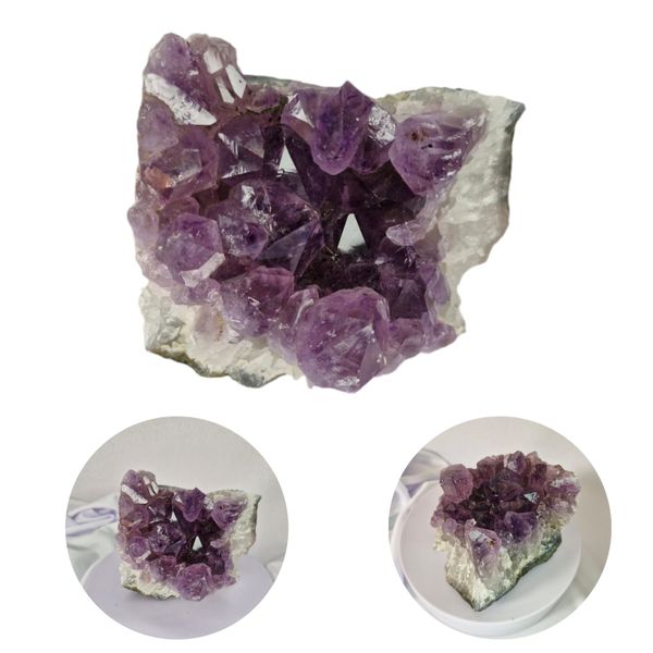 17319338476961 17319338476961