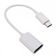 Cabo Adaptador Otg Usb Tipo C