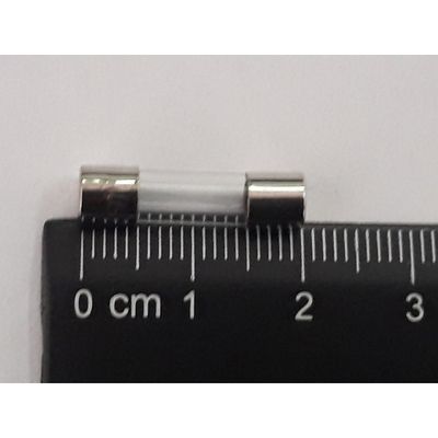 Kit Com 10X Fusivel Vidro Pequeno 10A 5X20Mm Bivolt P/ Estabilizador