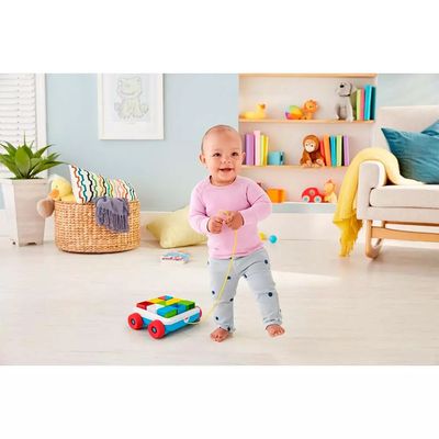 Carrinho de Blocos Fisher Price