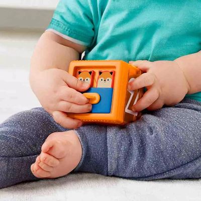 Blocos Empilhando e Explorando Fisher Price