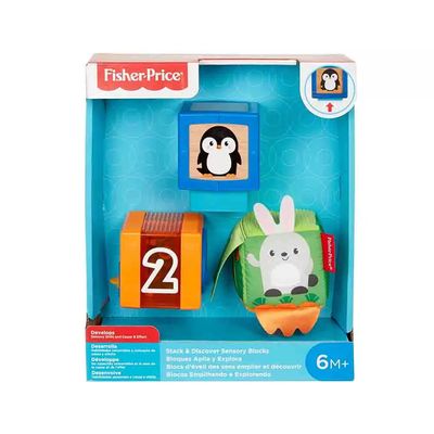 Blocos Empilhando e Explorando Fisher Price