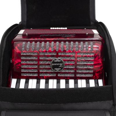 Acordeon 8 Baixos 22 Teclas TA 822 Vermelho Thommasi