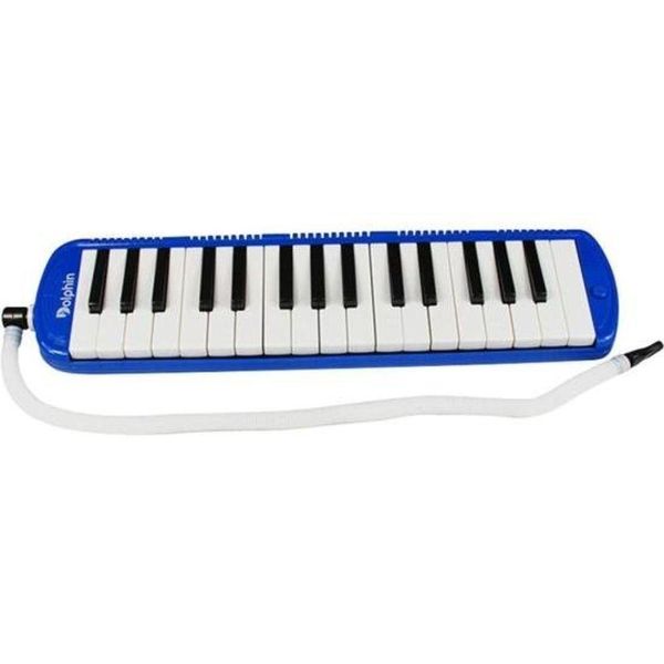 17334201829584 17334201829584