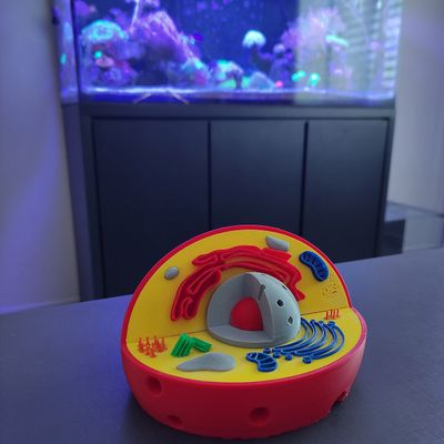 Célula Animal Eucarionte 14 cm Impressão 3d Maquete Biologia Citologia