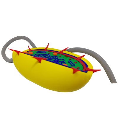 Célula Bactéria Procarionte 27 cm Impressão 3d Maquete Biologia Citologia