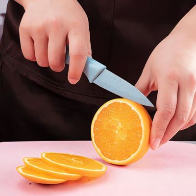Set de Facas de Cozinha 6 Peças em Aço Inox com Cabos Coloridos, Tesoura e Descascador Inclusos