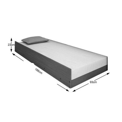 Cama Auxiliar Solteiro Premium Ii Cinamomo - Conquista