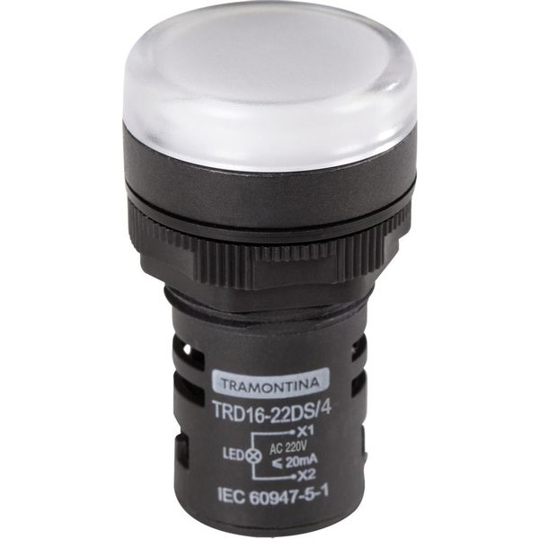 17332077305248 17332077305248