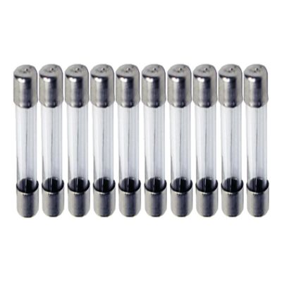 10 Unidades Do Fusível De Vidro Mini 10A 5X20Mm 110V 230V