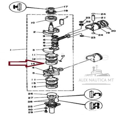 1 Unid Rolamento Yamaha 15 Hp Dm Código 93304-205u0 25x57x18