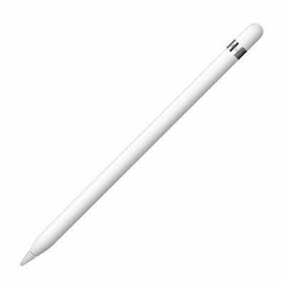 Apple Pencil 1ª Geração Com Adaptador Usb-c Branco