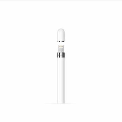 Apple Pencil 1ª Geração Com Adaptador Usb-c Branco