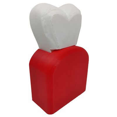 Dente Anatômico 3D Dental Modelo Dentário Anatomia Raiz