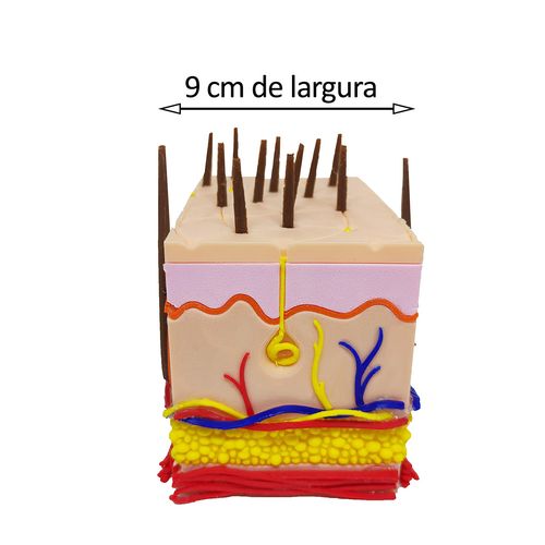 17378000167181