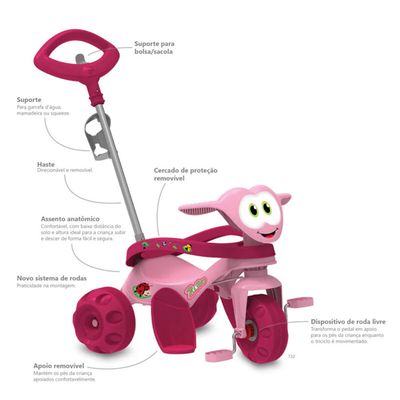 Triciclo Zootico Bandeirante Passeio e Pedal Rosa