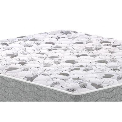 Colchão Queen Anatômico D45 - Guarda Costas Próextreme Double Face (158x198x22) - Probel