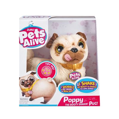 Pet Candide Pug