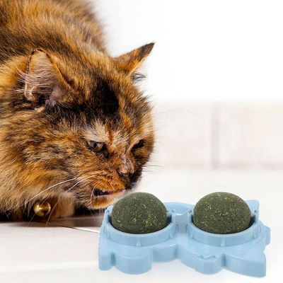 Brinquedo Erva De Gato Pet Catnip Bolinha Bola Natural Menta Interativo Animal De Estimaçao