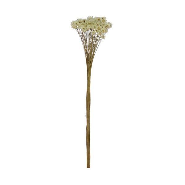 Bouquet Sempreviva Flor Arte 34cm Natural