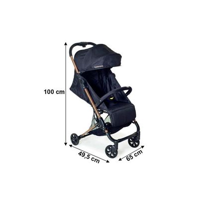 Carrinho De Bebê Galzerano Nico Golden Acopla Bebê Conforto Golden