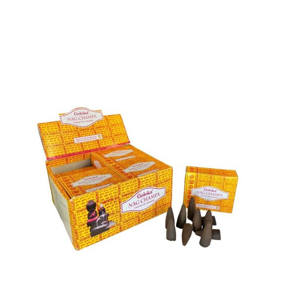 17379801144676 17379801144676