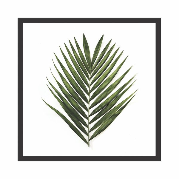 Quadro Kapos 27x27cm Mdf Folhagem Palmeira Quadro Kapos 27x27cm Mdf Folhagem Palmeira