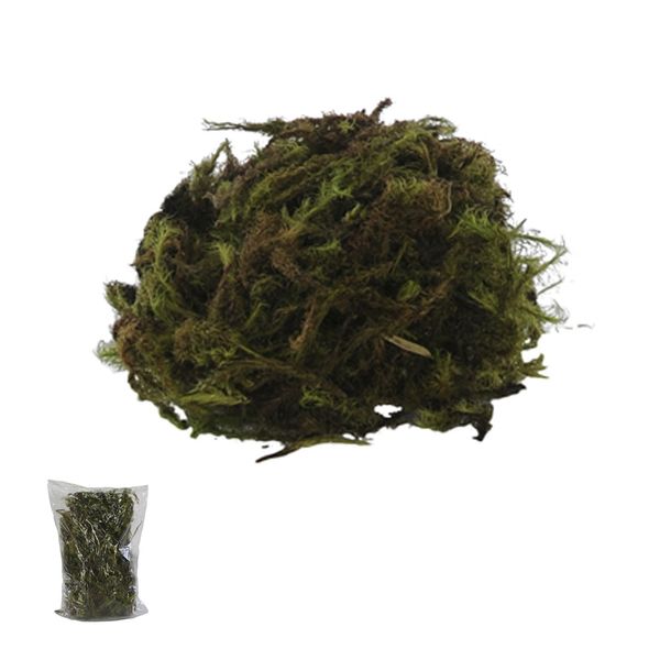 Musgo Flor Arte 40g Verde