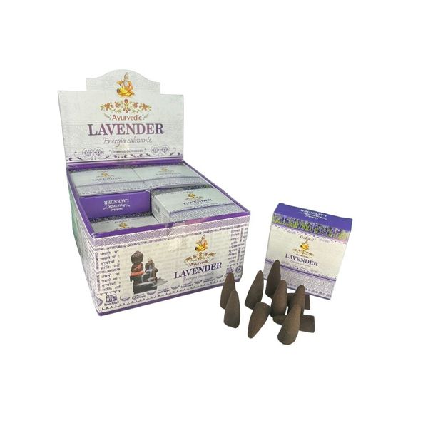 17379801133981 17379801133981