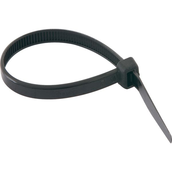 17397925246421 17397925246421