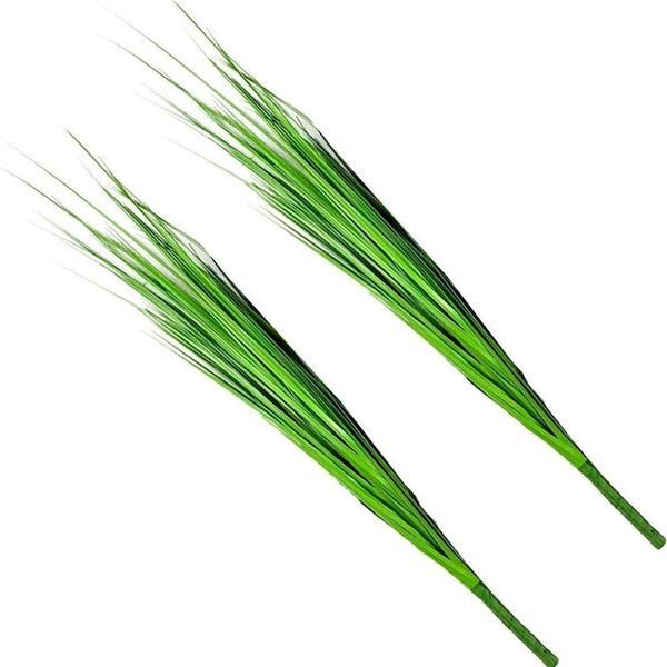 17393924741228 17393924741228