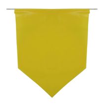 Bandeirola Plástica Luis Gonzaga 5m com 20 unidades 11x15cm