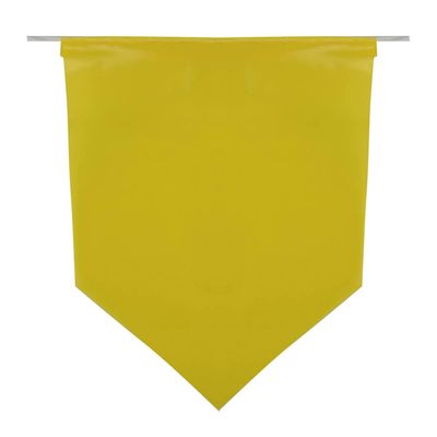 Bandeirola Plástica Luis Gonzaga 5m com 20 unidades 11x15cm
