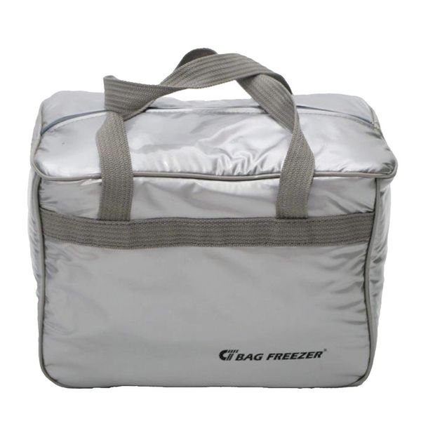 Bolsa Térmica Cazza Bag Freezer Prata 14L