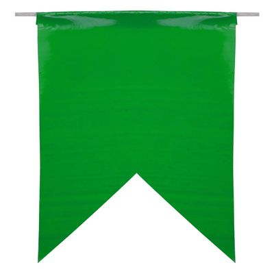 Bandeirola Plástica Luis Gonzaga 5m com 20 unidades 11x15cm