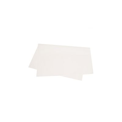 Papel Seda Reipel Branco 48x60cm com 5 Folhas